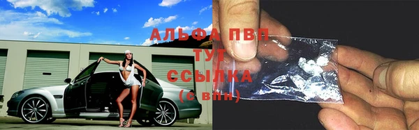 трава Арсеньев
