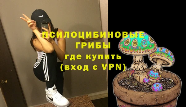 спиды Аркадак