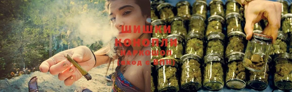 трава Арсеньев
