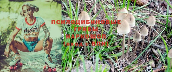 спиды Аркадак